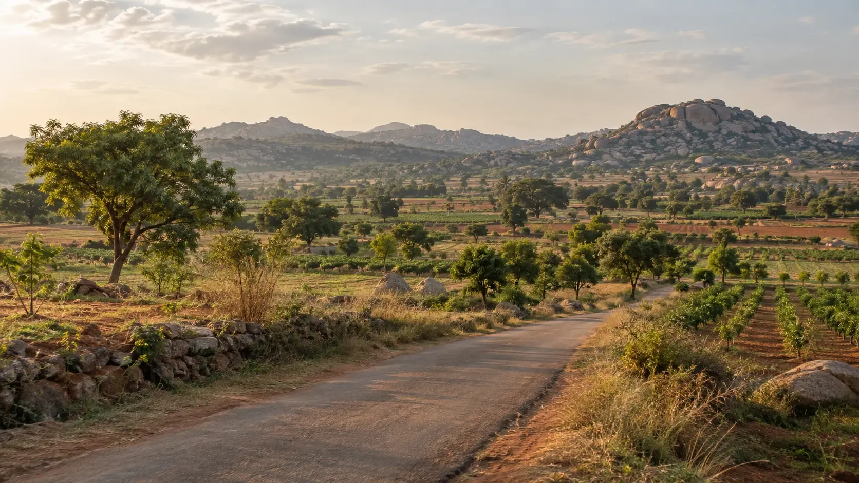 Low granite hills, open fields and a quiet rural road near Bagepalli in late afternoon light.