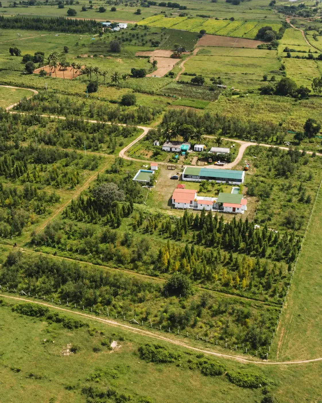 An aerial view over Utopiaa Legacy: tree rows, farm tracks and the clubhouse among green fields.
